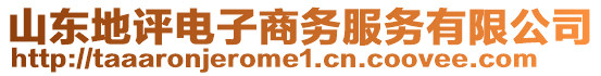 山東地評電子商務服務有限公司