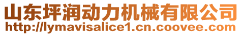 山東坪潤(rùn)動(dòng)力機(jī)械有限公司