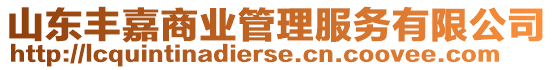 山東豐嘉商業(yè)管理服務(wù)有限公司