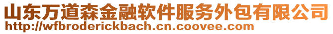 山東萬道森金融軟件服務(wù)外包有限公司