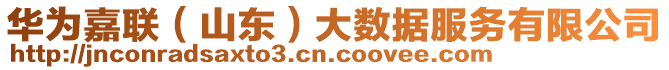 華為嘉聯(山東)大數據服務有限公司