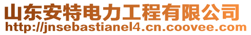 山東安特電力工程有限公司