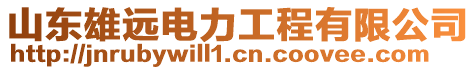 山東雄遠電力工程有限公司