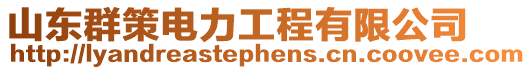 山東群策電力工程有限公司