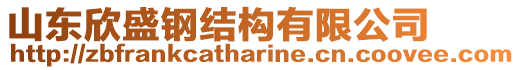 山東欣盛鋼結(jié)構有限公司