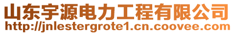 山東宇源電力工程有限公司