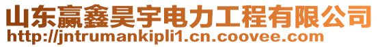 山東贏鑫昊宇電力工程有限公司