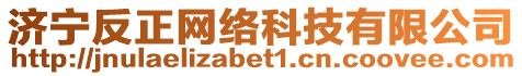 濟寧反正網絡科技有限公司