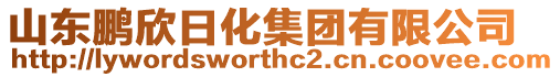 山東鵬欣日化集團(tuán)有限公司