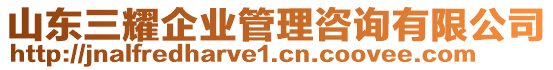 山東三耀企業(yè)管理咨詢有限公司