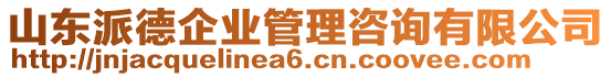 山東派德企業(yè)管理咨詢有限公司