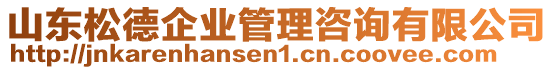 山東松德企業(yè)管理咨詢有限公司