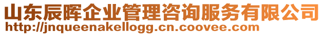 山東辰暉企業(yè)管理咨詢服務(wù)有限公司