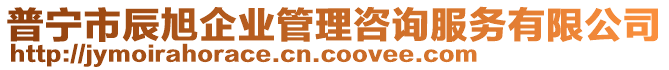 普寧市辰旭企業(yè)管理咨詢(xún)服務(wù)有限公司