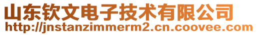 山東欽文電子技術有限公司