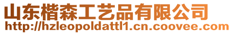 山東楷森工藝品有限公司