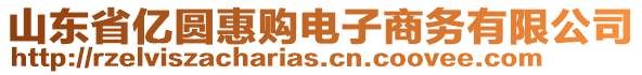 山東省億圓惠購電子商務有限公司