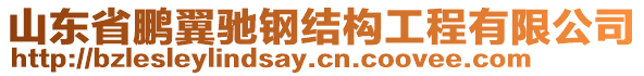 山東省鵬翼馳鋼結(jié)構(gòu)工程有限公司