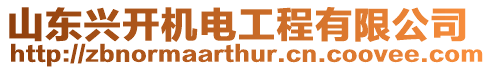 山東興開機電工程有限公司
