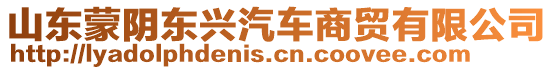 山東蒙陰東興汽車商貿有限公司
