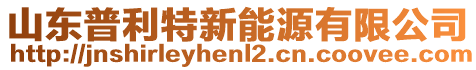 山東普利特新能源有限公司