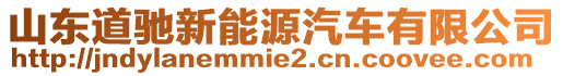 山東道馳新能源汽車有限公司