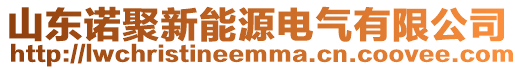 山東諾聚新能源電氣有限公司
