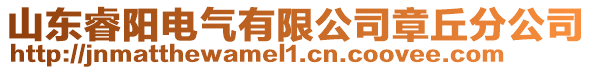 山東睿陽(yáng)電氣有限公司章丘分公司
