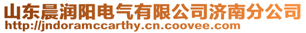 山東晨潤陽電氣有限公司濟南分公司