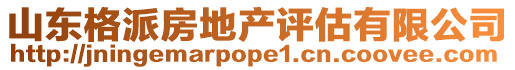 山東格派房地產(chǎn)評(píng)估有限公司