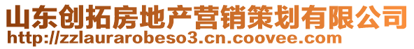 山東創(chuàng)拓房地產營銷策劃有限公司