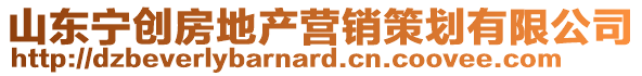 山東寧創房地產營銷策劃有限公司
