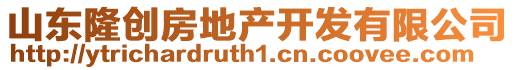 山東隆創(chuàng)房地產(chǎn)開發(fā)有限公司