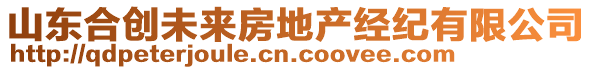 山東合創(chuàng)未來房地產(chǎn)經(jīng)紀有限公司
