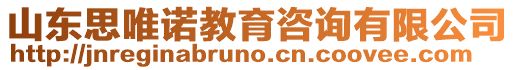 山東思唯諾教育咨詢有限公司