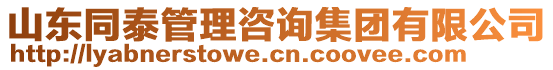 山東同泰管理咨詢集團(tuán)有限公司