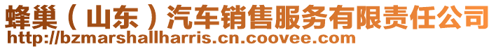 蜂巢(山東)汽車銷售服務有限責任公司