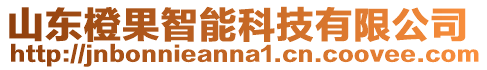 山東橙果智能科技有限公司