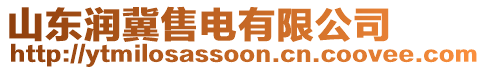 山東潤(rùn)冀售電有限公司