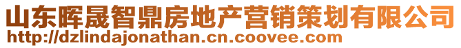 山東暉晟智鼎房地產(chǎn)營(yíng)銷策劃有限公司