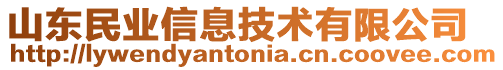 山東民業(yè)信息技術(shù)有限公司