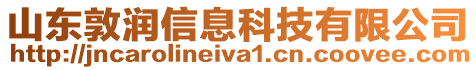 山东敦润信息科技有限公司