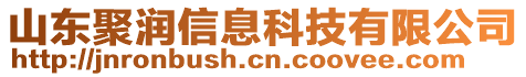 山東聚潤信息科技有限公司