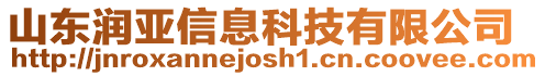 山東潤亞信息科技有限公司