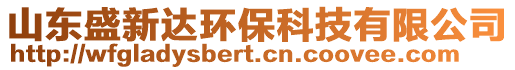 山東盛新達環保科技有限公司