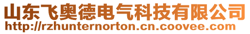 山東飛奧德電氣科技有限公司