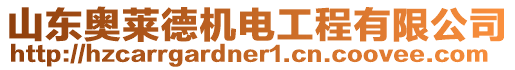 山東奧萊德機電工程有限公司