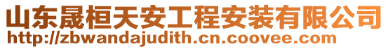 山東晟桓天安工程安裝有限公司