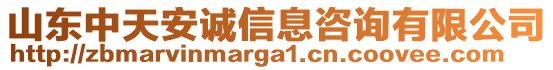 山東中天安誠信息咨詢有限公司