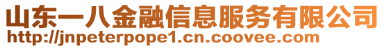 山东一八金融信息服务有限公司